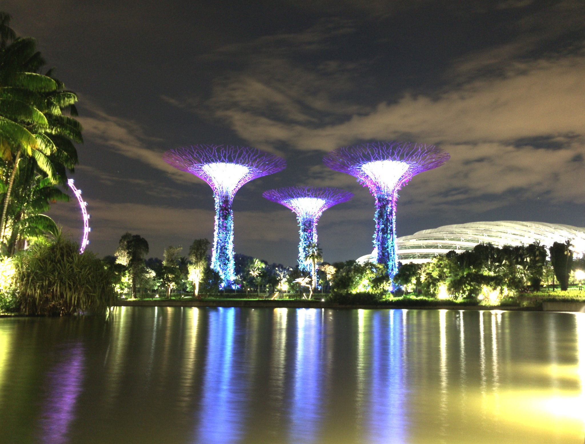 Apple iPhone sample photo. Sg at night  photography
