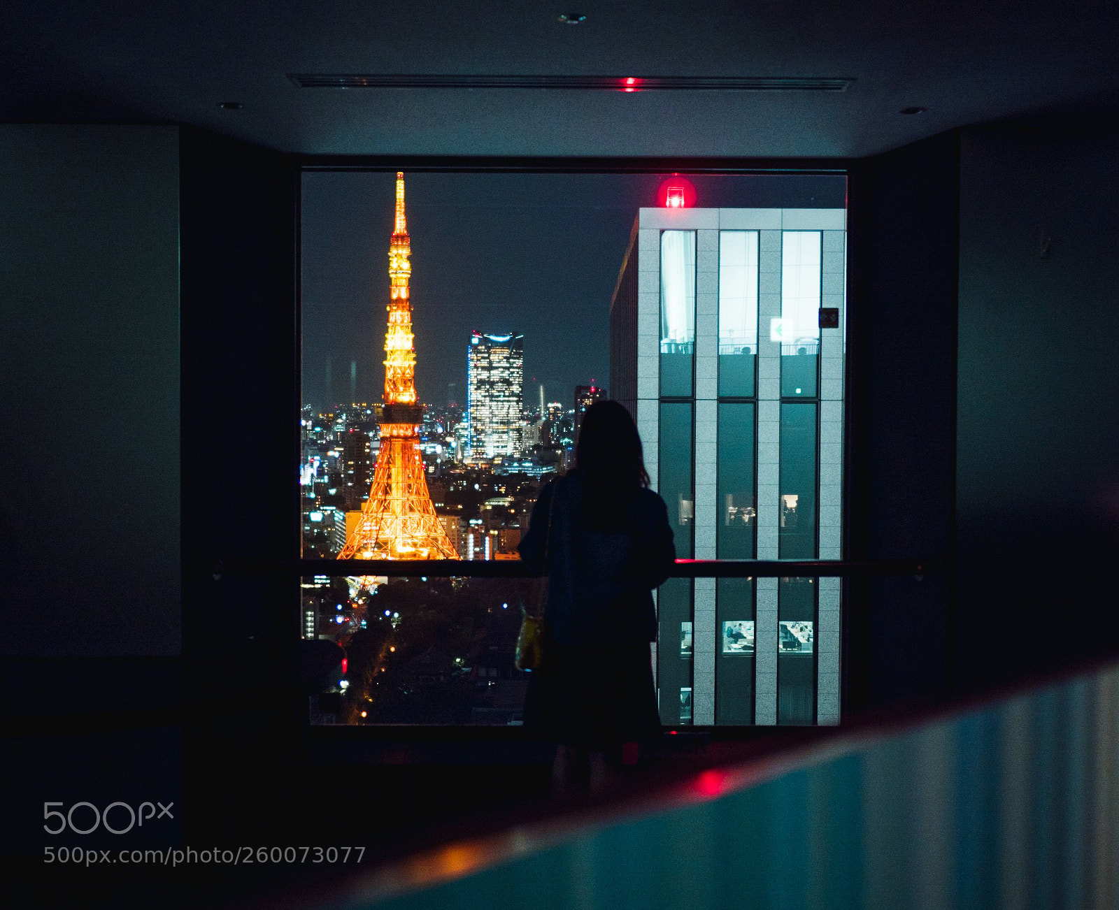 Olympus OM-D E-M5 II sample photo. Observing tokyo photography