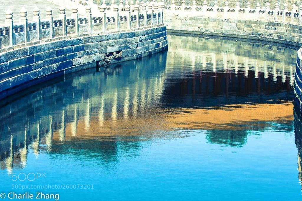Canon EOS-1D X sample photo. Untitled photography
