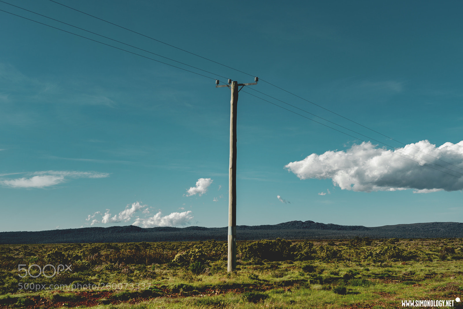 Nikon D800E sample photo. Roadside power pole and photography