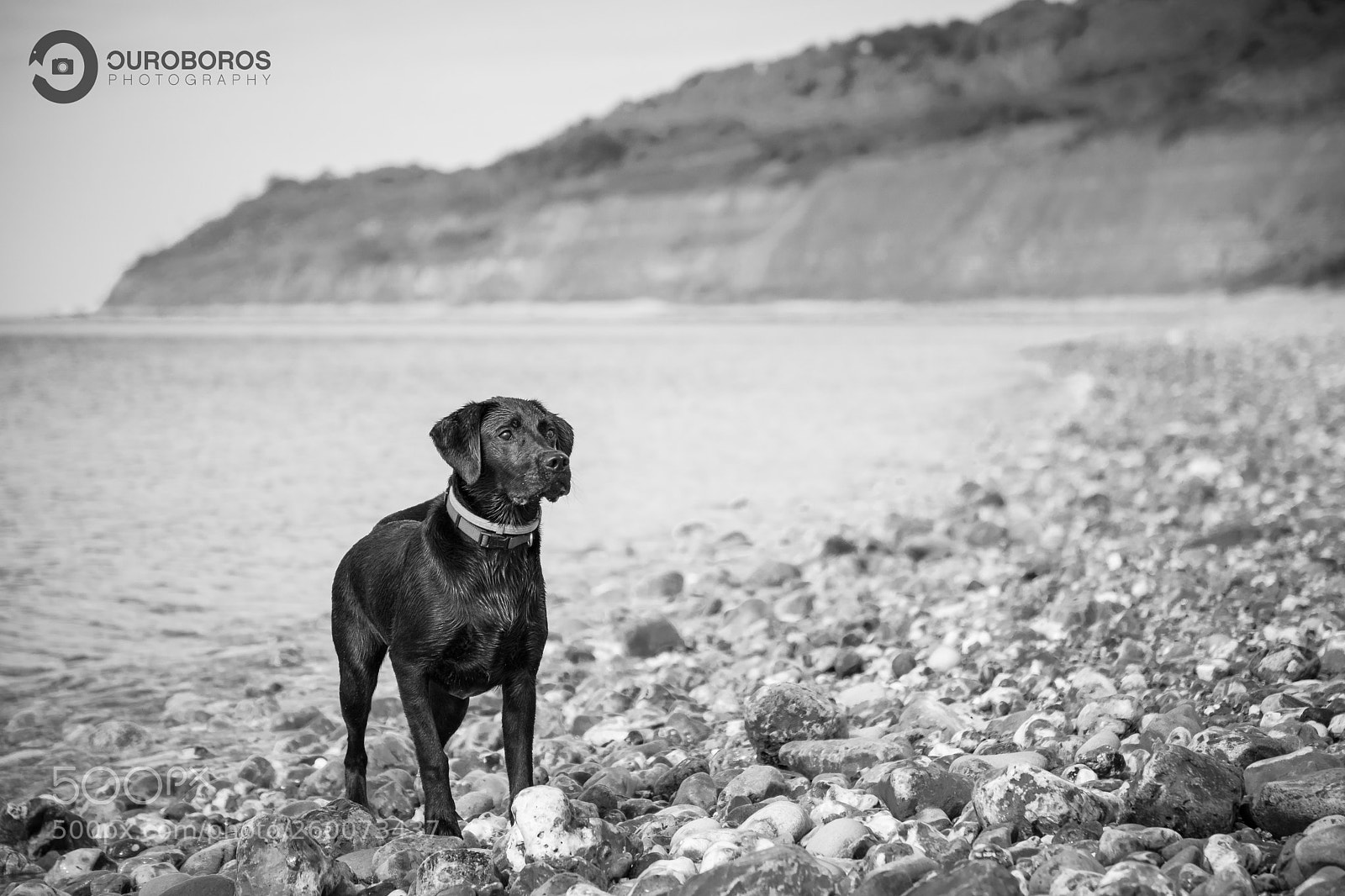 Canon EOS 5D Mark IV sample photo. Jax photography