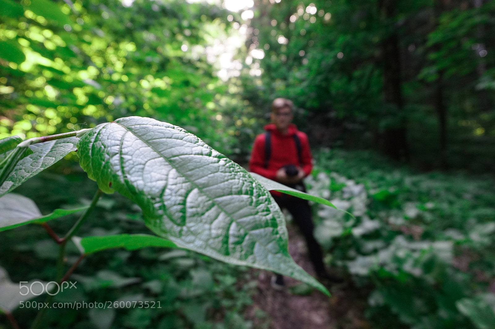 Sony Alpha a5000 (ILCE 5000) sample photo. Untitled photography