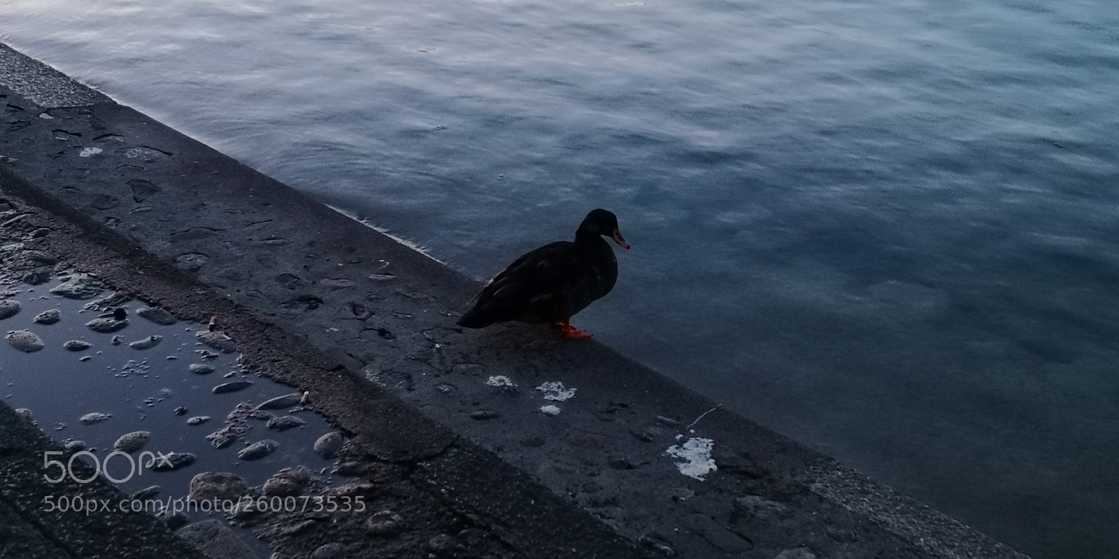 HUAWEI Mate 10 Pro sample photo. Untitled photography