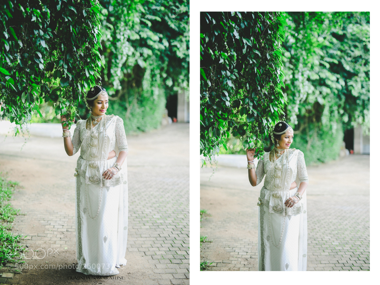 Canon EOS 5D Mark IV sample photo. 2.jpg photography