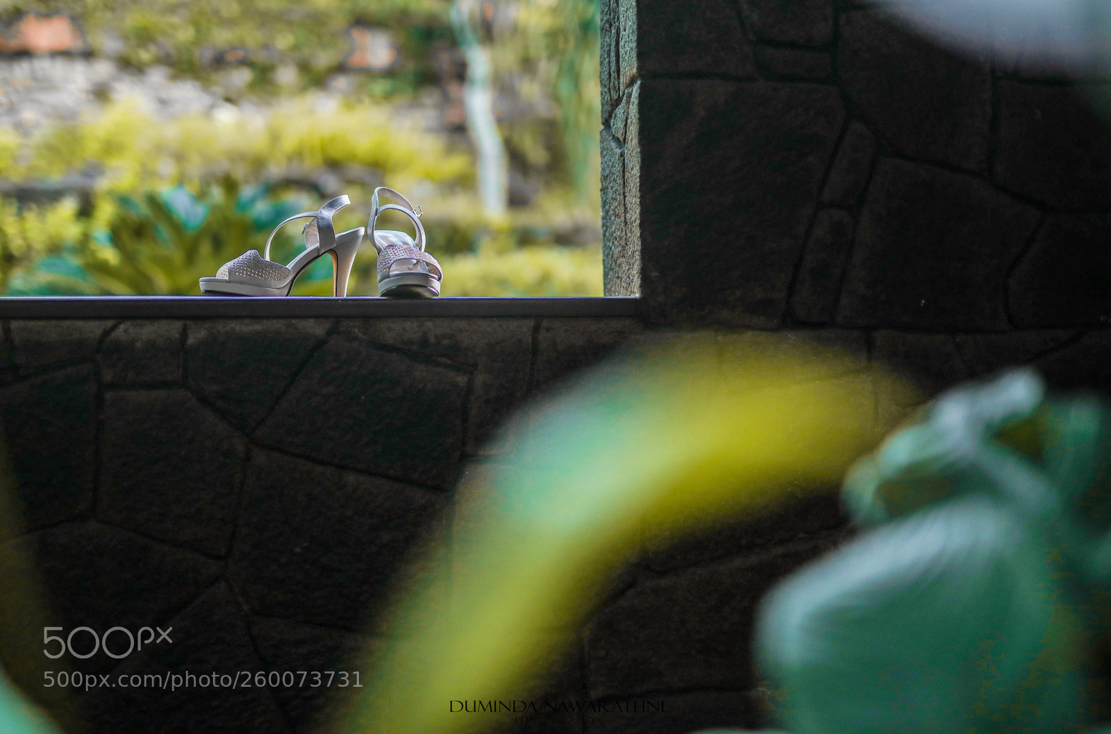 Canon EOS 5D Mark IV sample photo. C photography