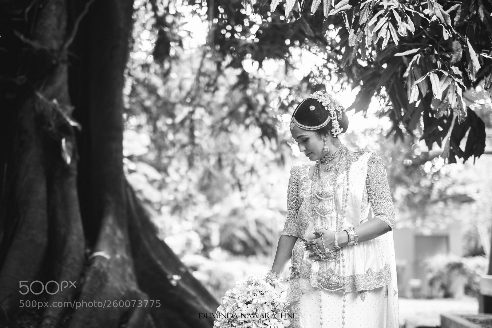 Canon EOS 5D Mark IV sample photo. Ja photography