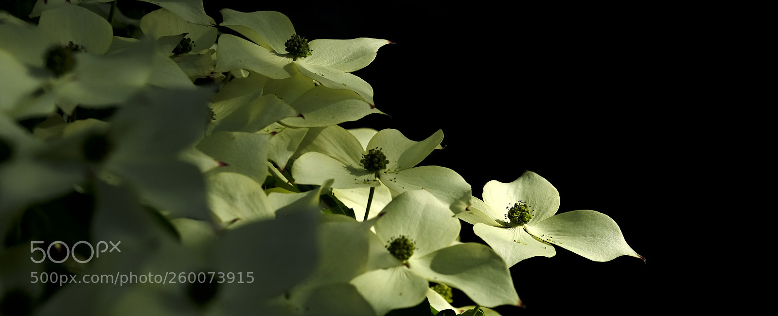 Fujifilm X-T2 sample photo. Light & shadows ii photography