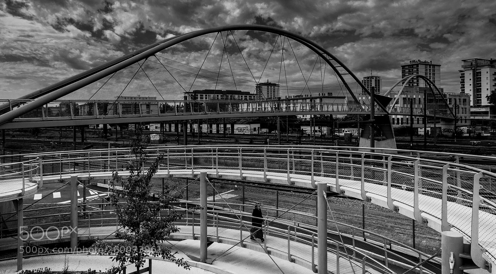 Nikon D5000 sample photo. Urban jungle photography