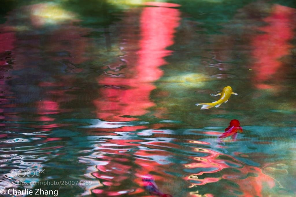 Canon EOS-1D X sample photo. Untitled photography