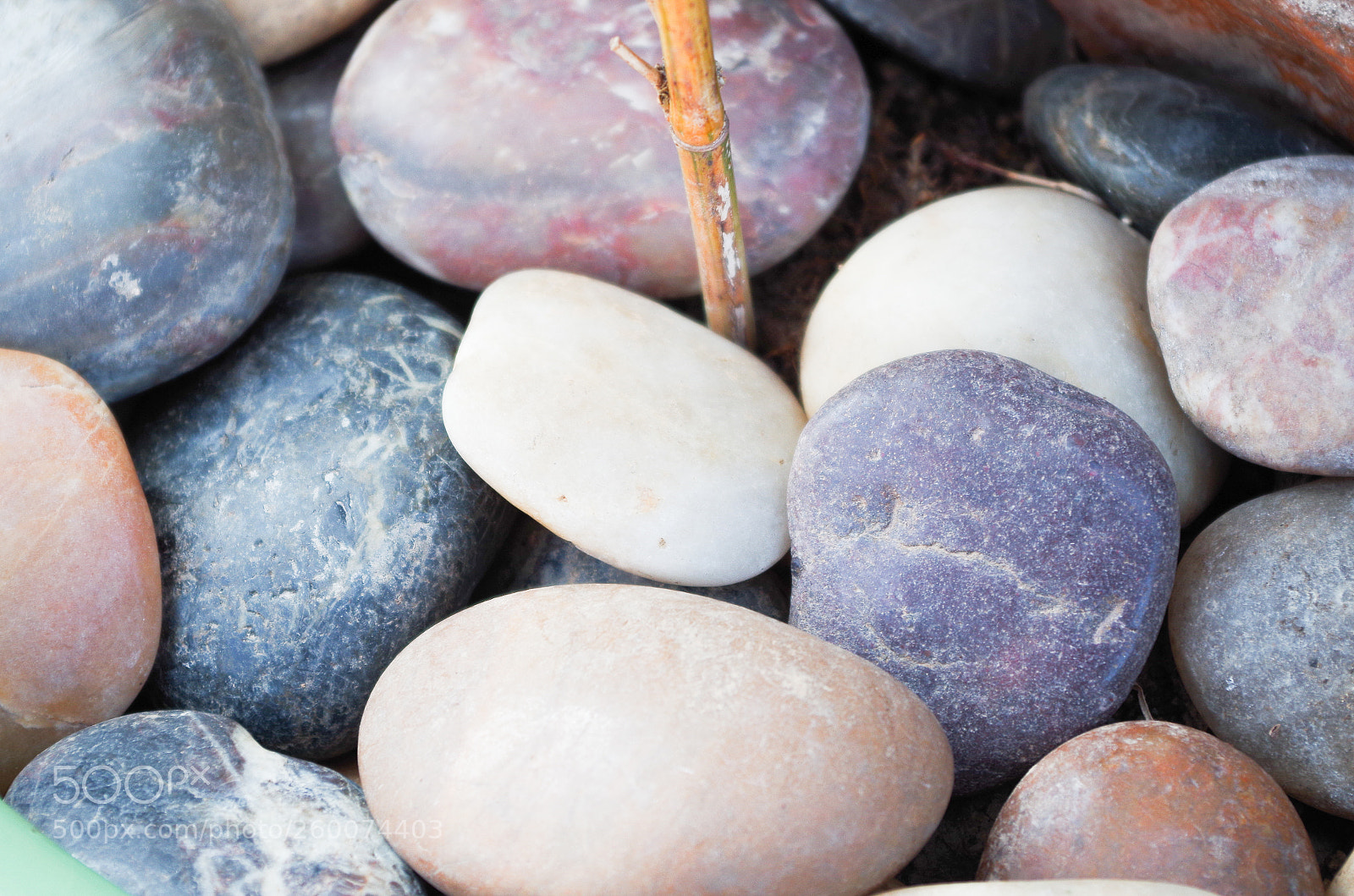 Pentax K-30 sample photo. Pebbles~ photography