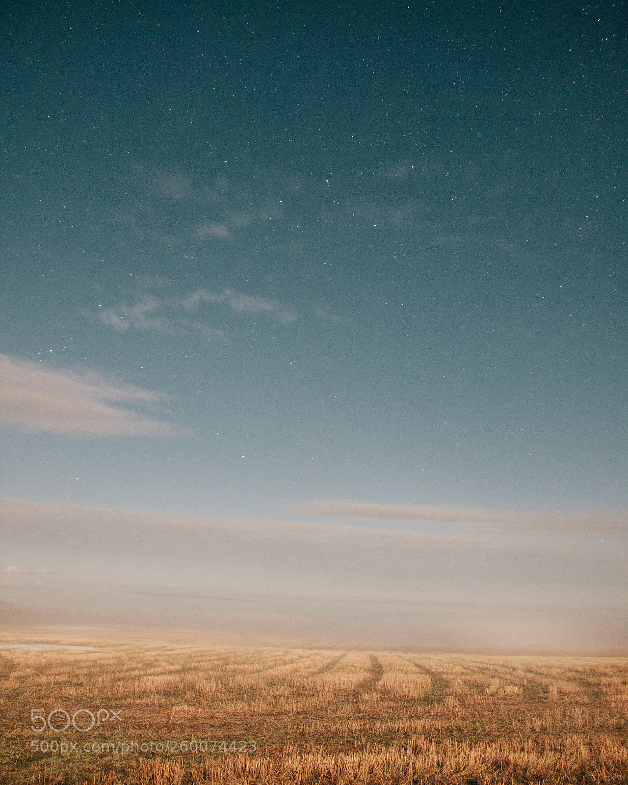 Canon EOS 600D (Rebel EOS T3i / EOS Kiss X5) sample photo. A sky full of photography