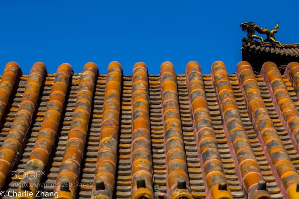 Canon EOS-1D X sample photo. Untitled photography