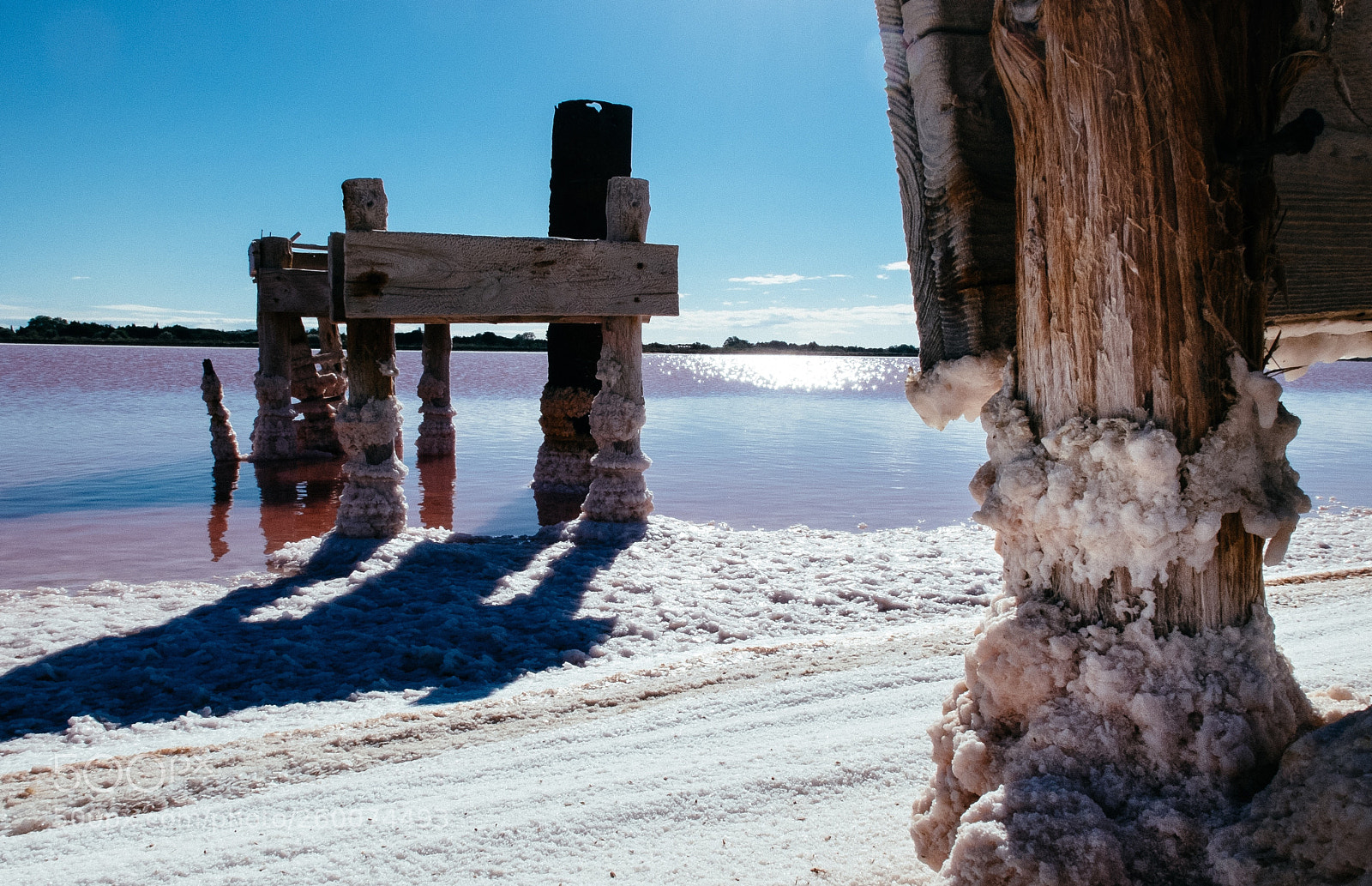 Fujifilm X30 sample photo. Wood in salt crust photography