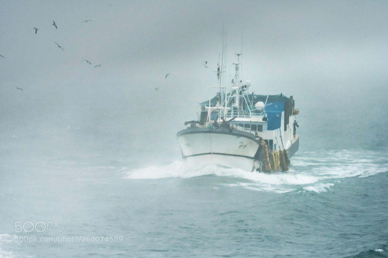 Nikon D810 sample photo. Warning of wind, waves photography