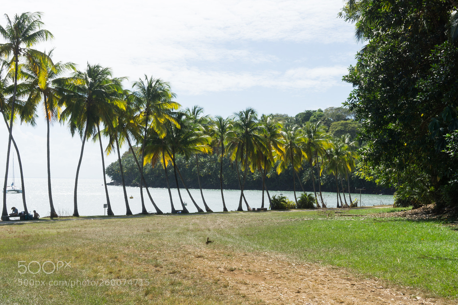 Sony a6000 sample photo. Royal island photography