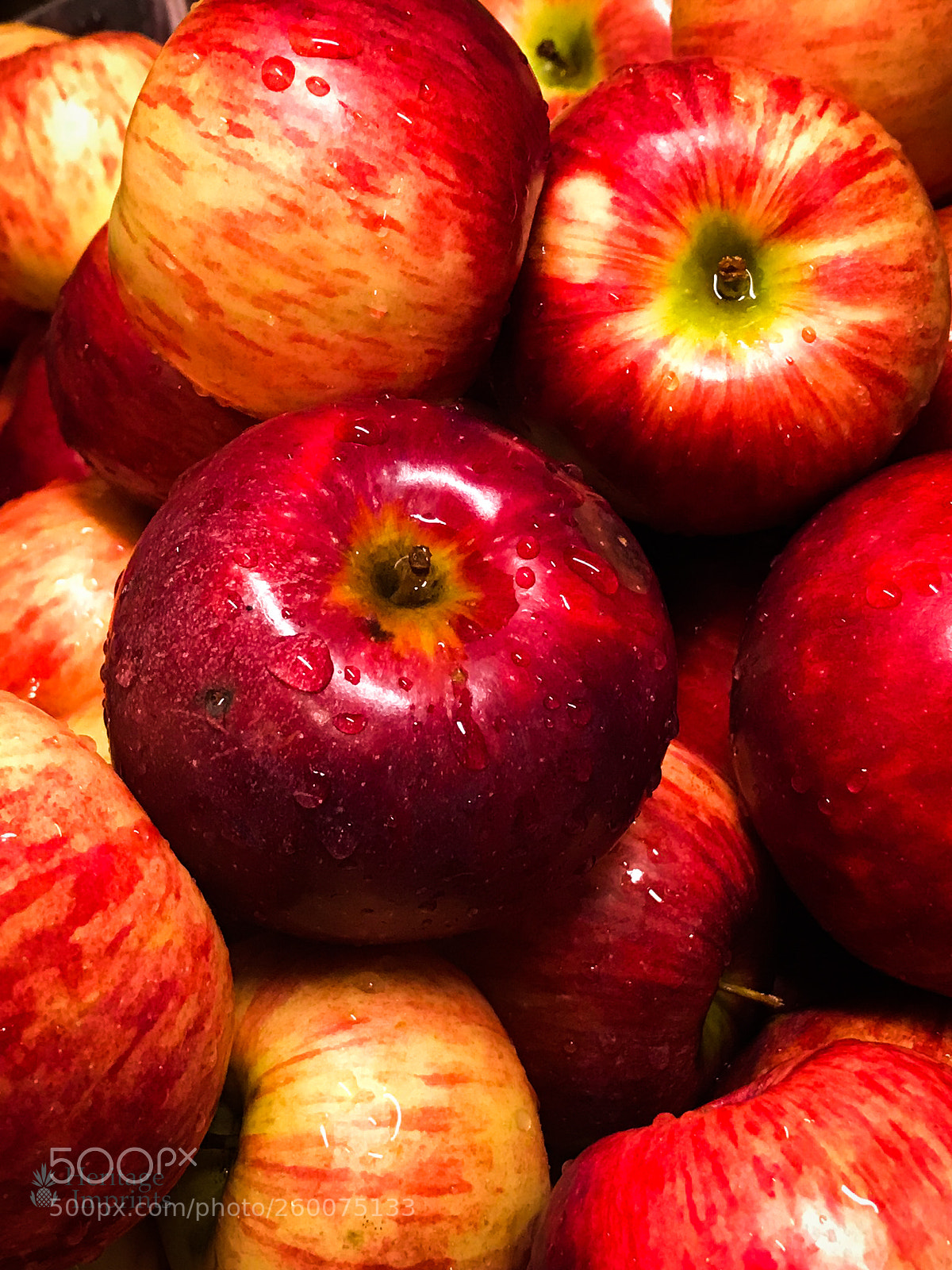 Apple iPhone 7 Plus sample photo. Cortland apples photography