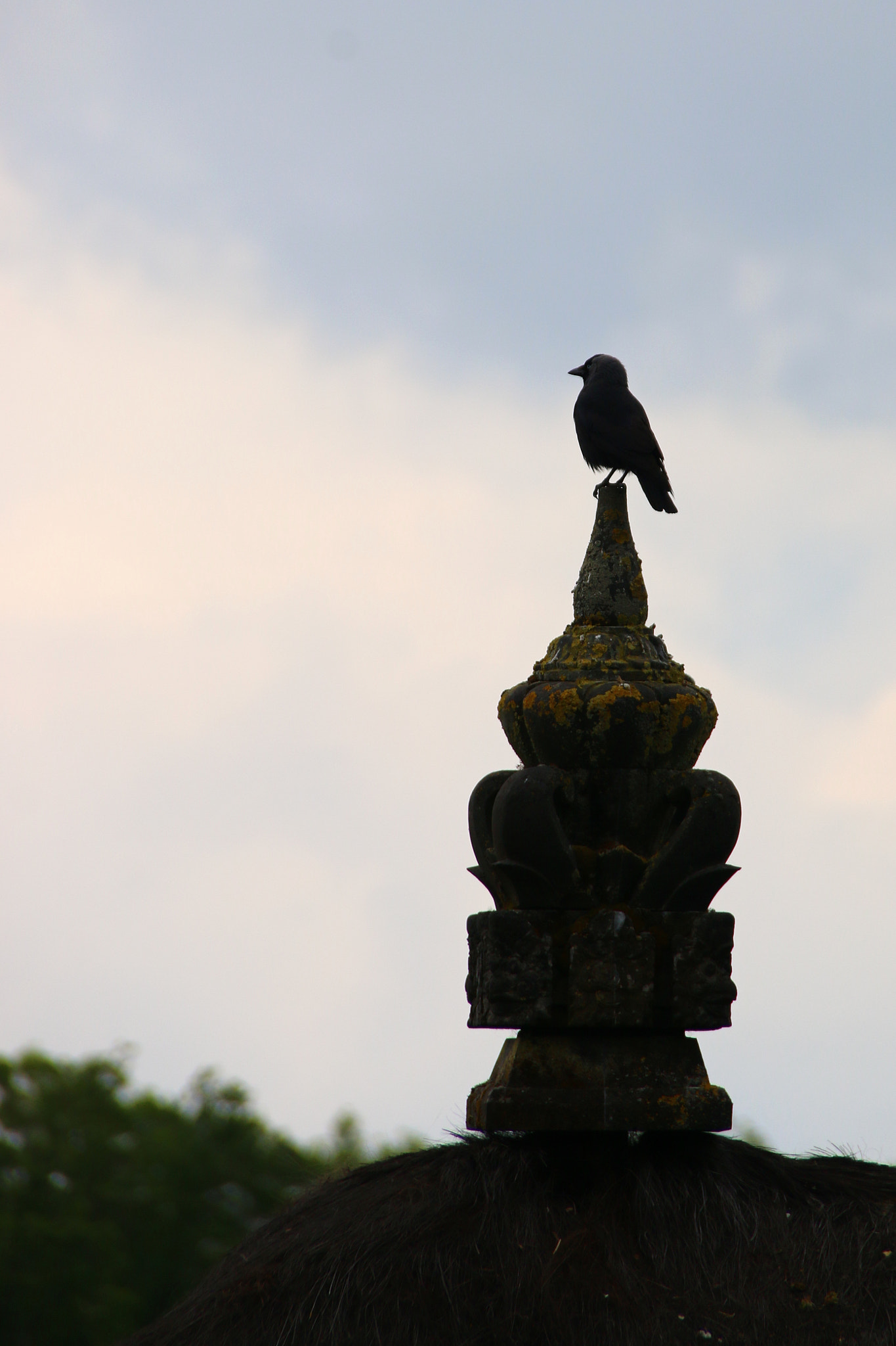 Canon EF 75-300mm F4.0-5.6 IS USM sample photo. Pairi daiza photography