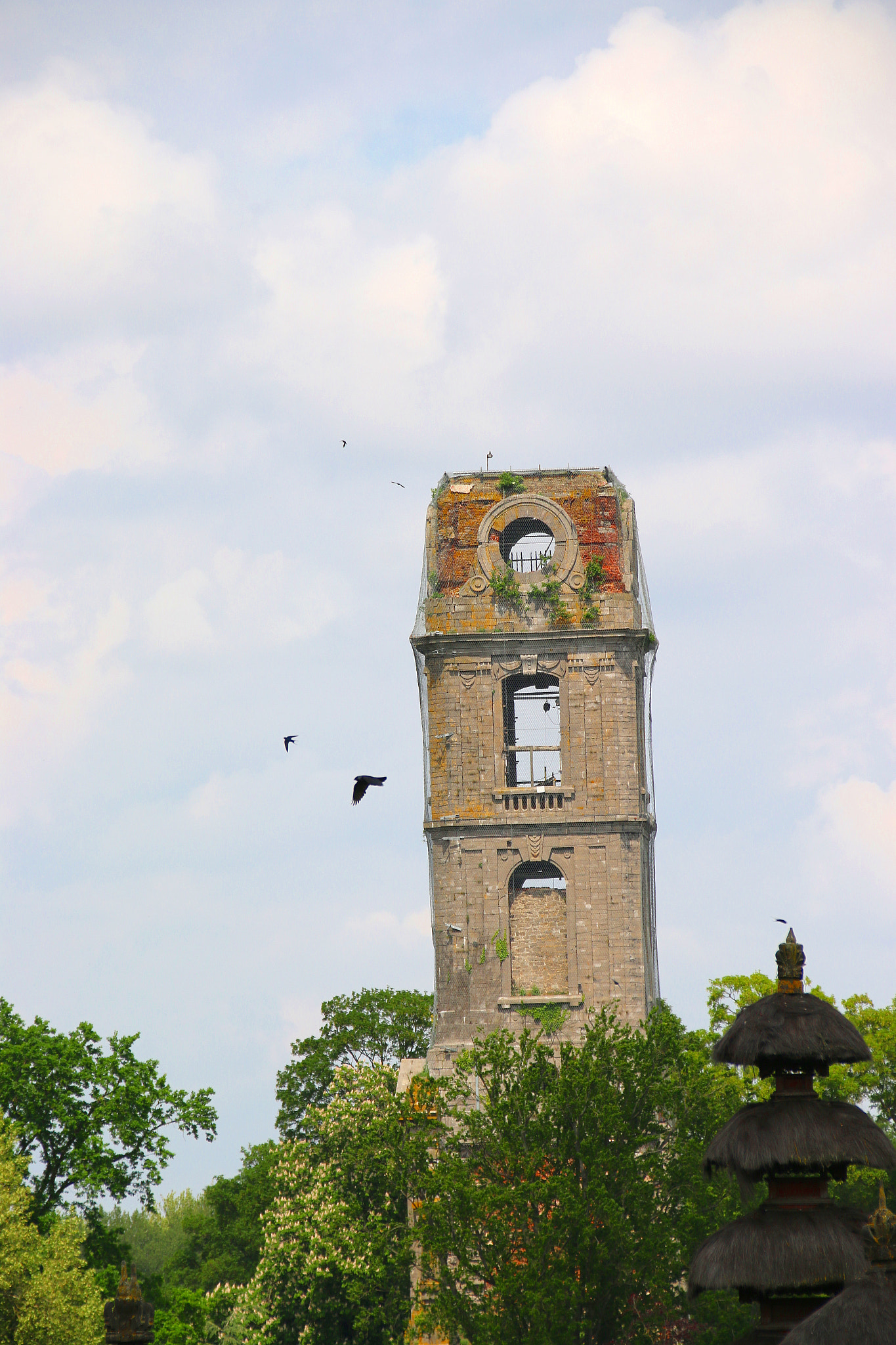 Canon EF 75-300mm F4.0-5.6 IS USM sample photo. Pairi daiza photography