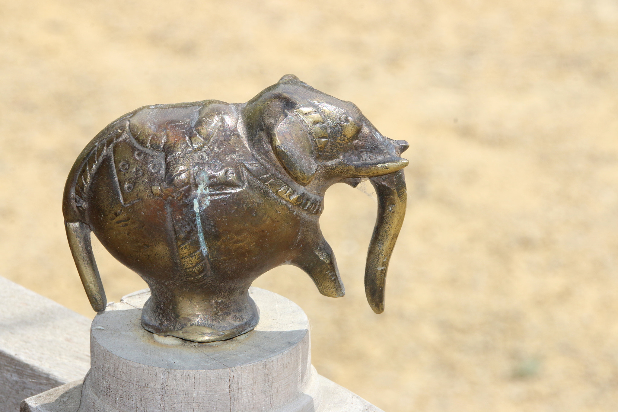 Canon EF 75-300mm F4.0-5.6 IS USM sample photo. Pairi daiza photography