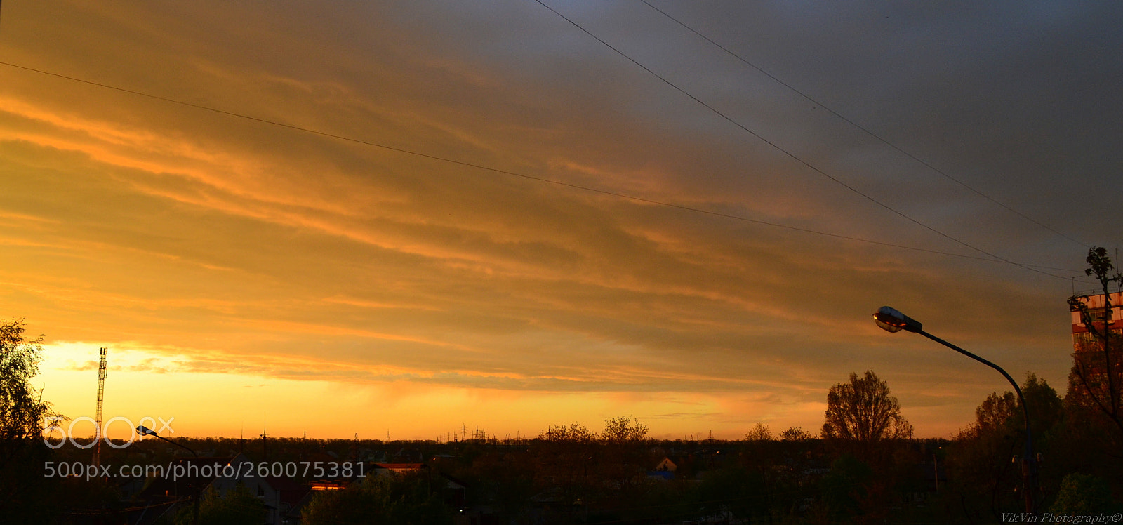 Nikon D3100 sample photo. Almost summer photography