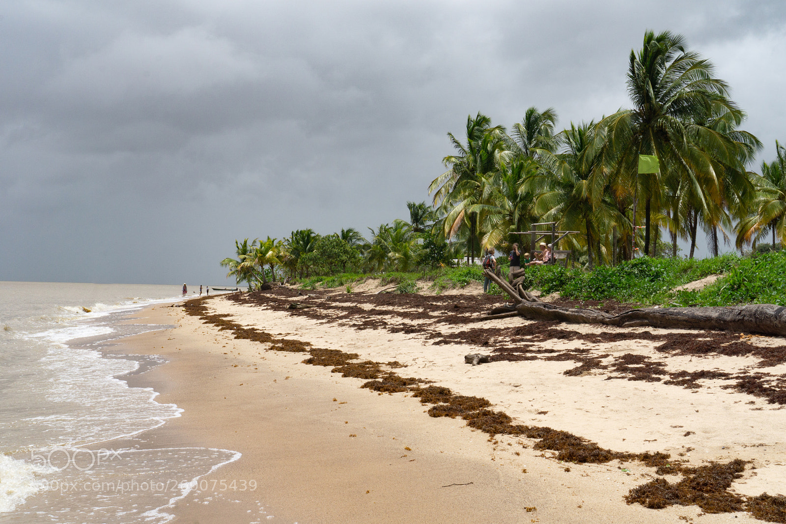 Sony a6000 sample photo. Coastline french guiana photography