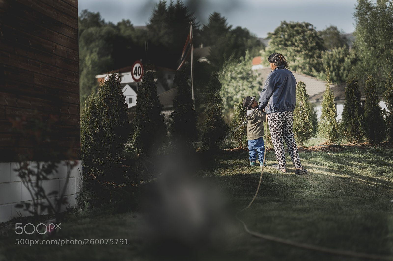 Sony a7 II sample photo. Untitled photography
