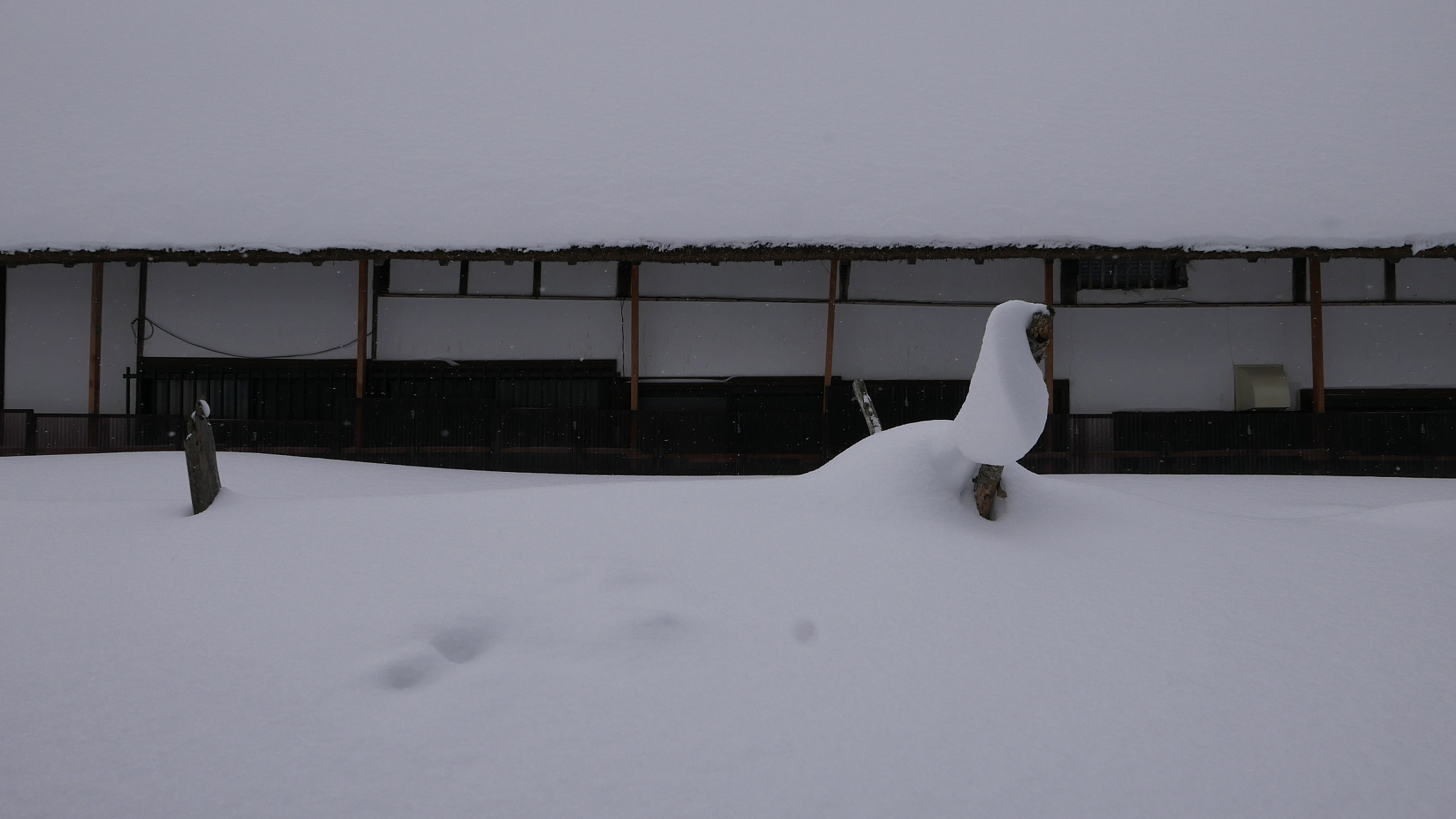 Leica D-Lux (Typ 109) sample photo. 雪趣。。。 photography