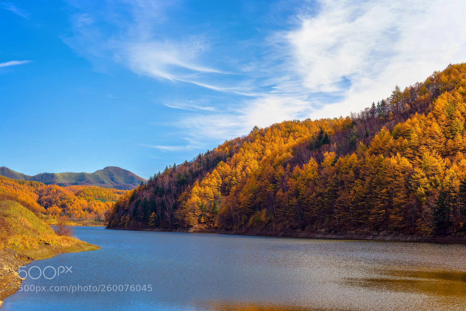 Sony Alpha DSLR-A850 sample photo. Golden fall photography