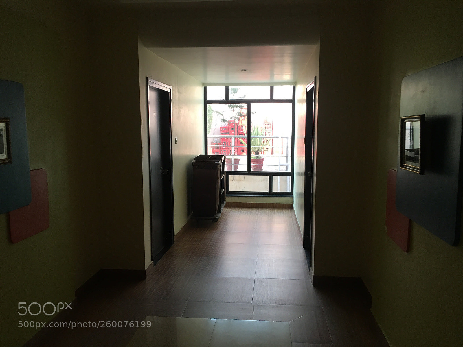 Apple iPhone 6s sample photo. Untitled photography