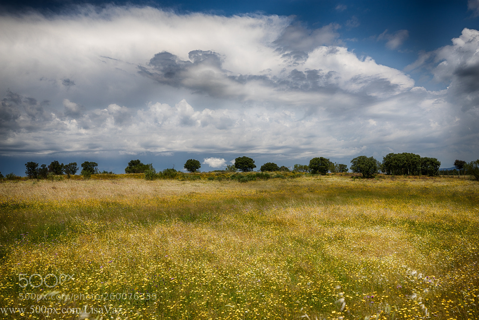 Sony a7R sample photo. Portugal photography