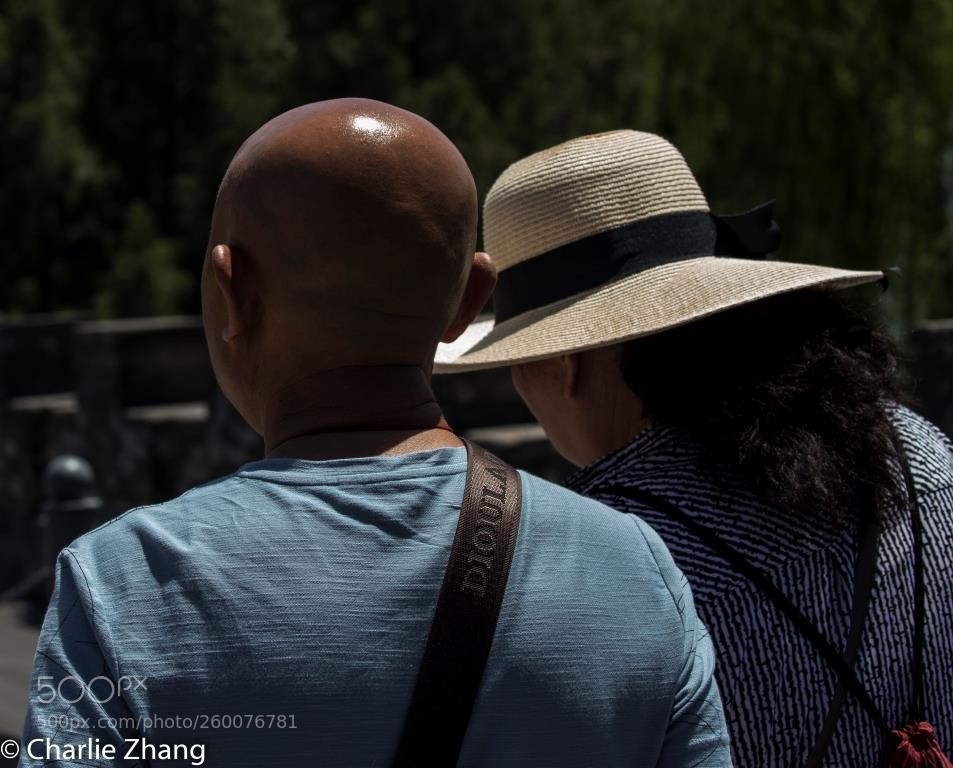 Canon EOS-1D X sample photo. Untitled photography