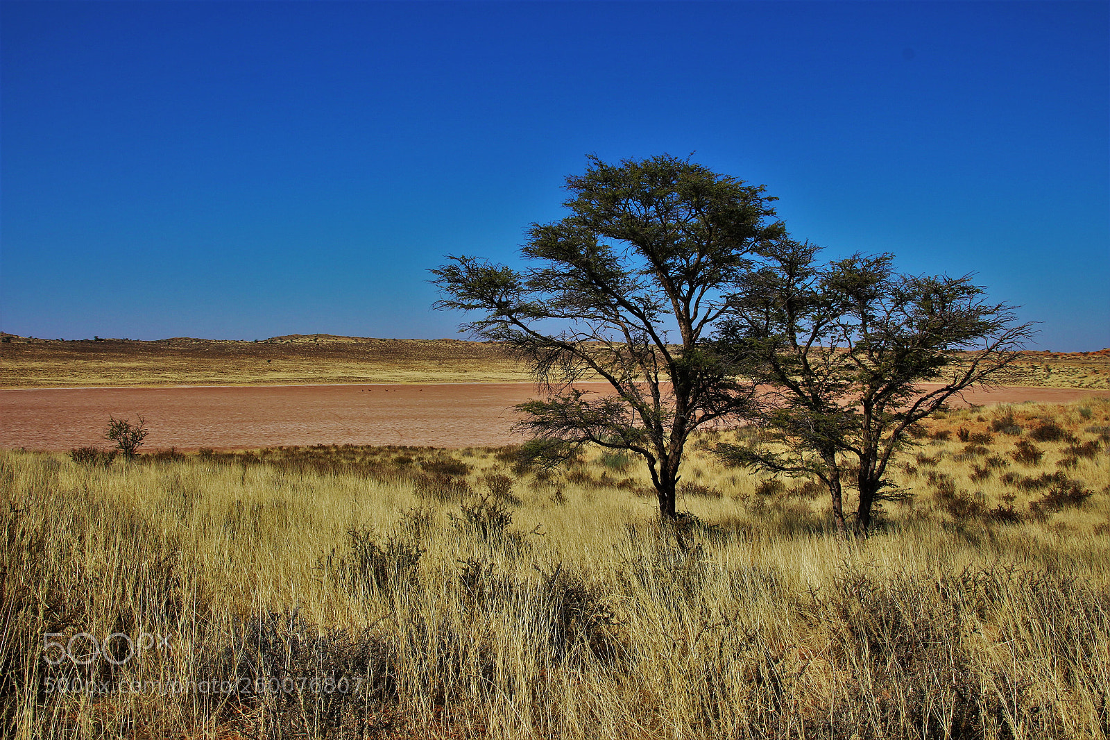 Canon EOS 100D (EOS Rebel SL1 / EOS Kiss X7) sample photo. Africa photography