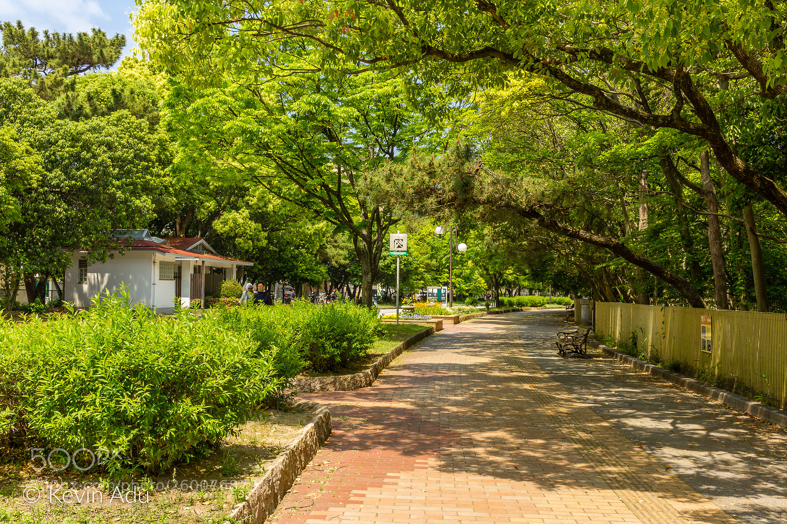 Canon EOS 1200D (EOS Rebel T5 / EOS Kiss X70 / EOS Hi) sample photo. Path to nature photography