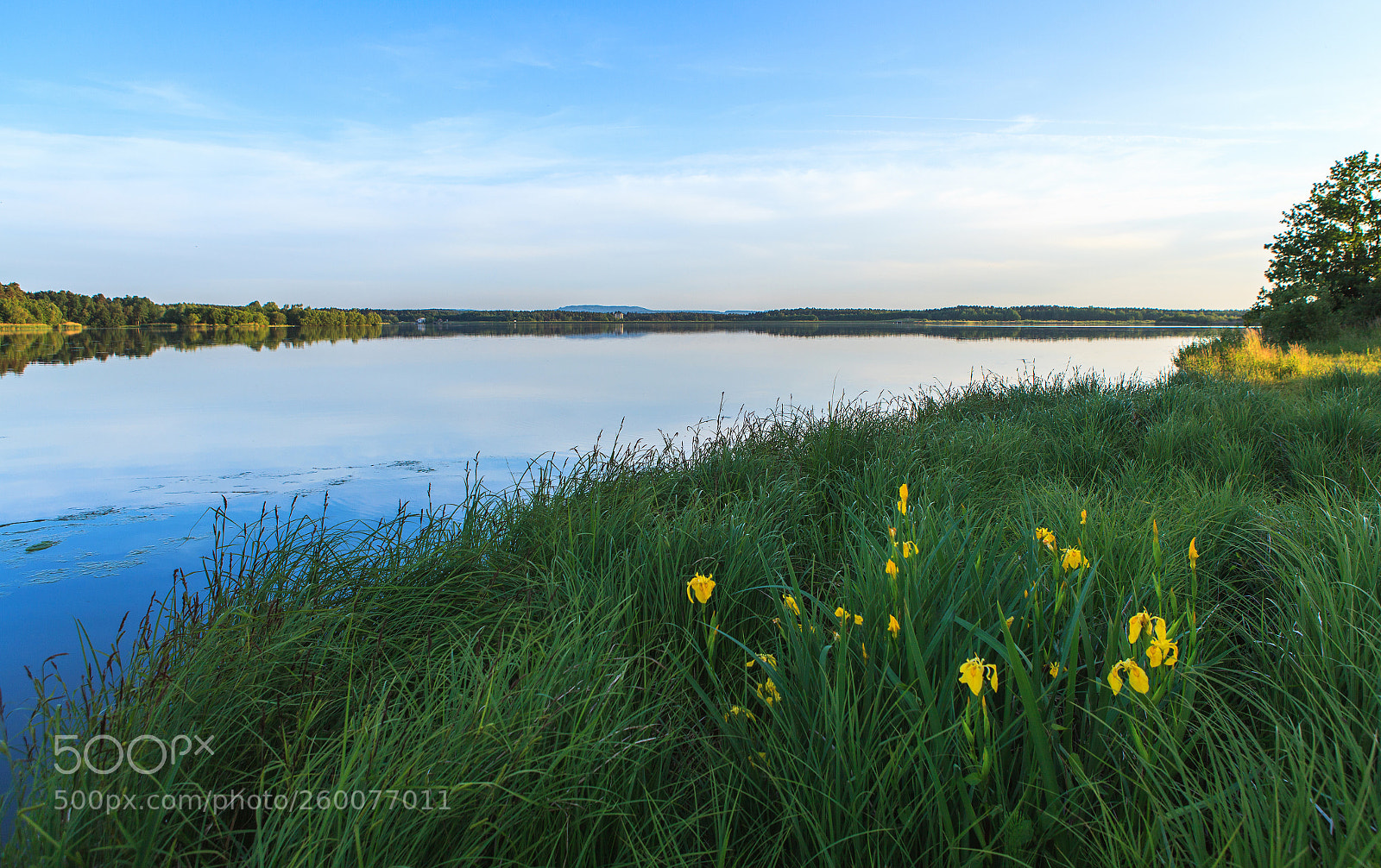 Canon EOS 5D Mark II sample photo. Rothsee photography