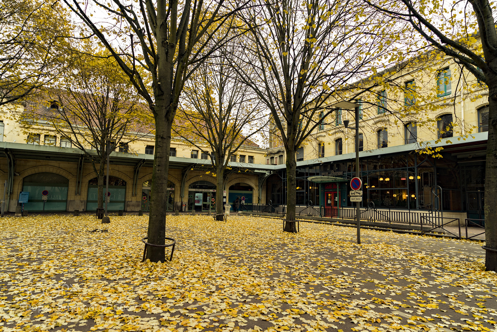 Sony a7R sample photo. Automne à rouen photography