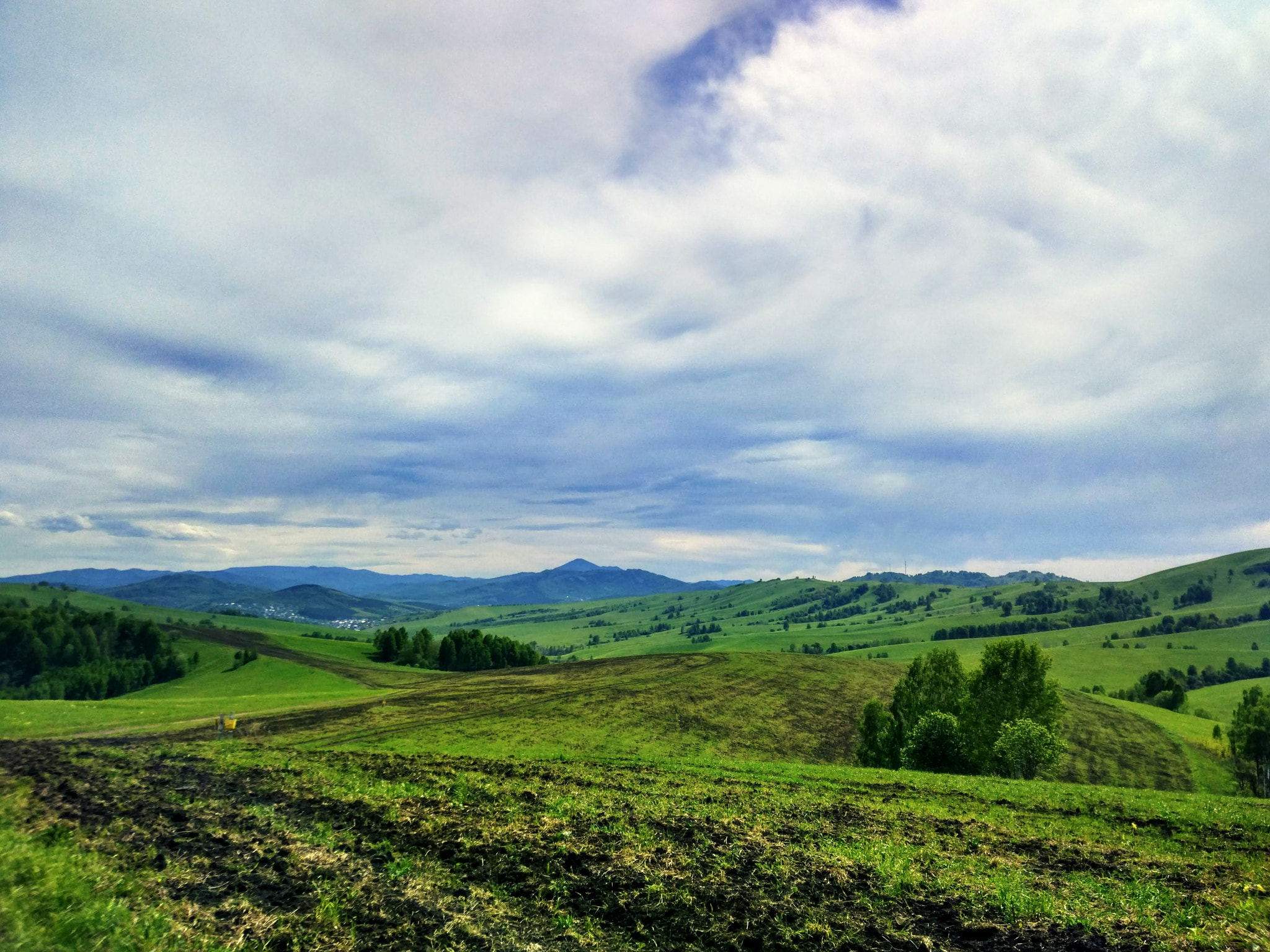Xiaomi Mi-4c sample photo. Field photography