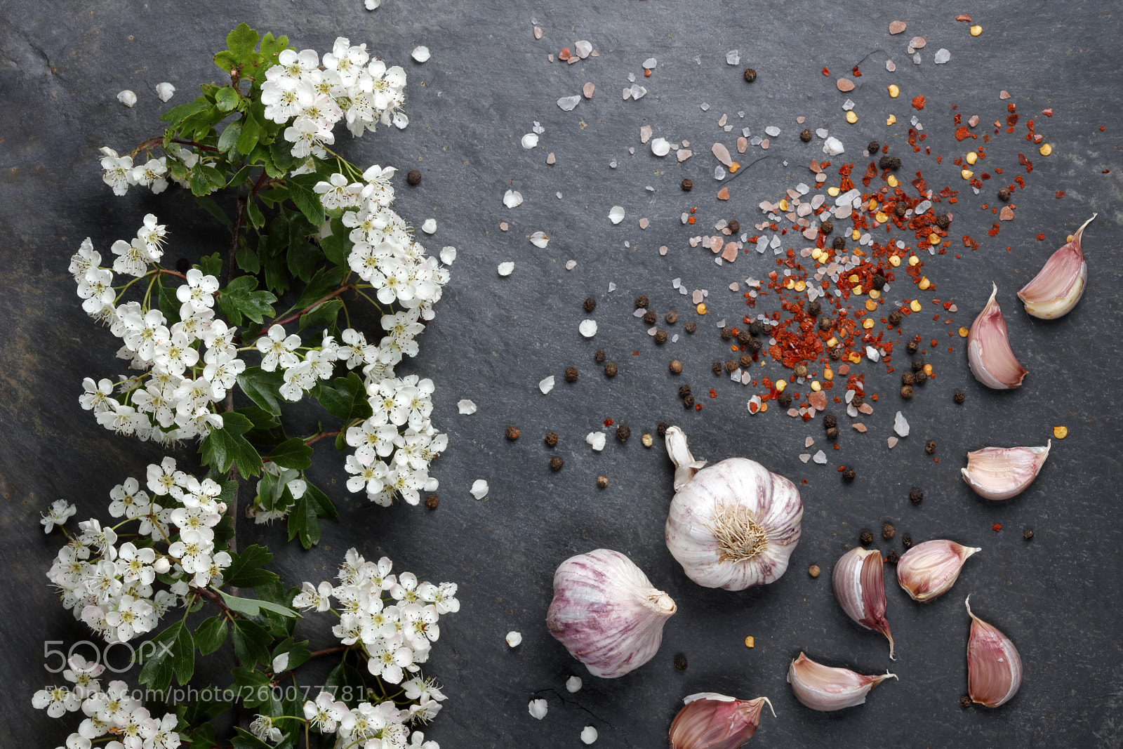 Canon EOS 5DS R sample photo. Early summer white flower photography