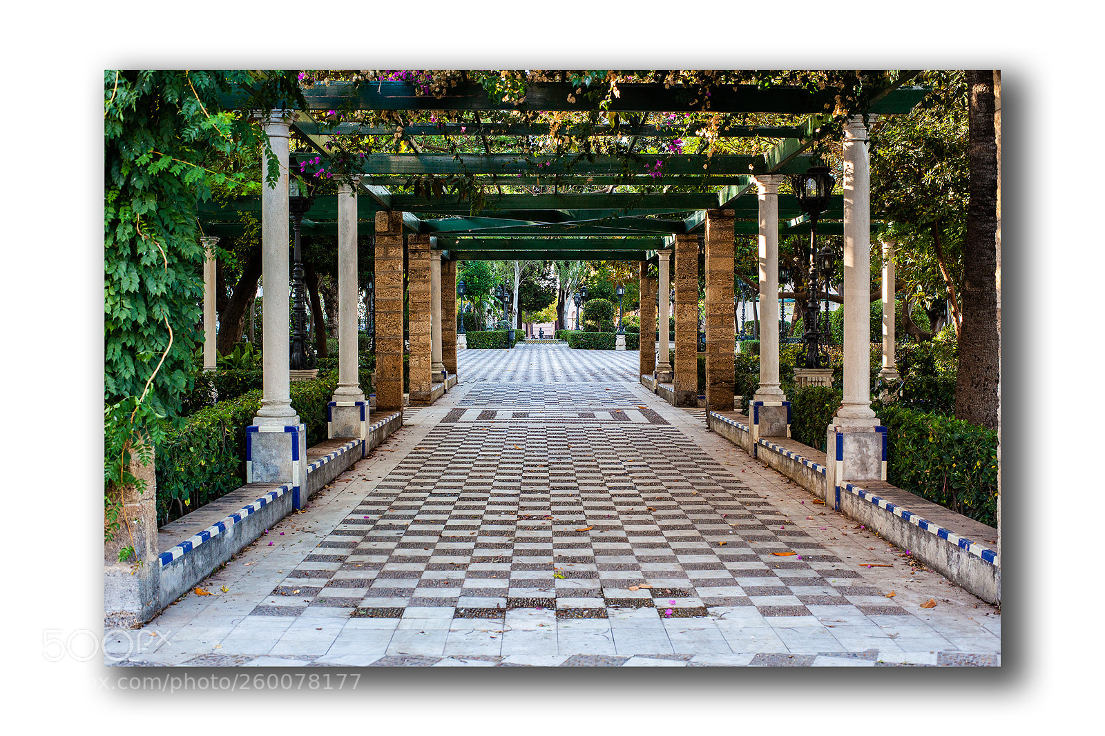 Canon EOS 5D Mark II sample photo. Alameda apodaca photography