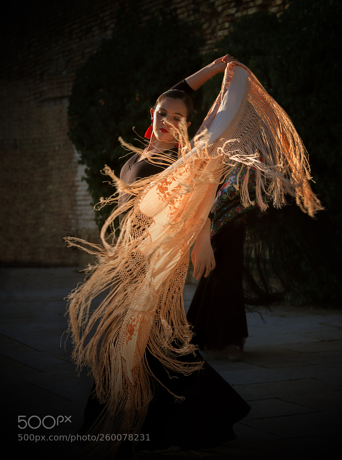 Canon EOS 7D sample photo. Flamenco photography