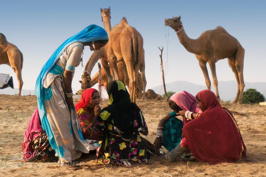 Sony a7R sample photo. Conversations pushkar mela. rajasthan photography