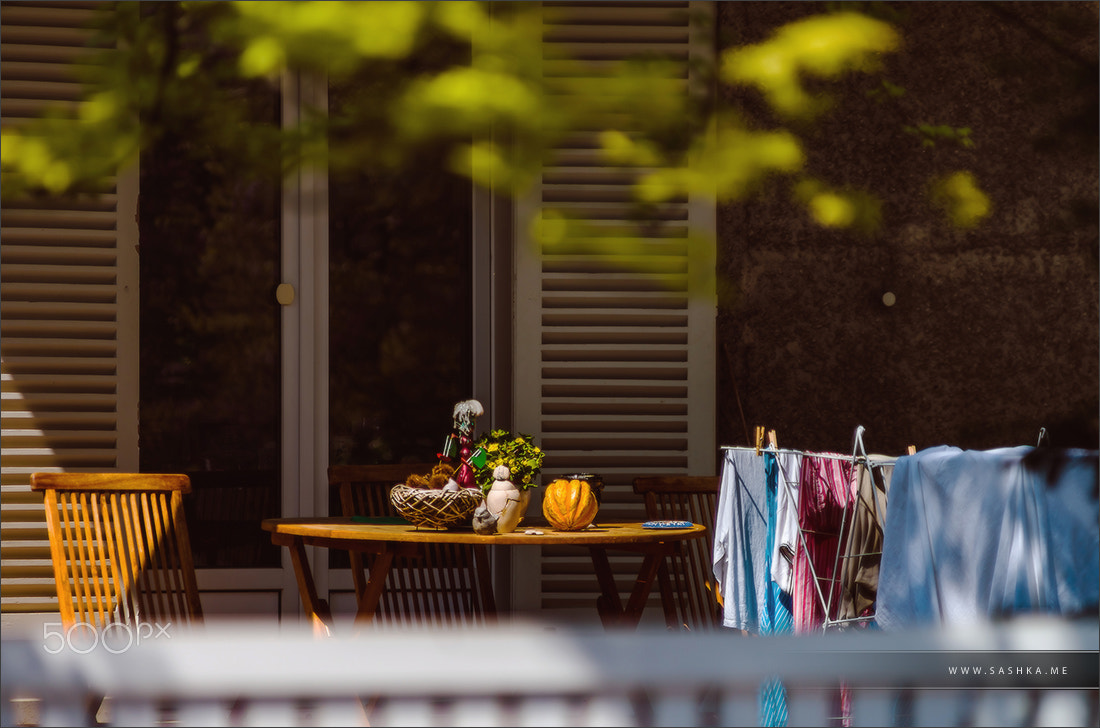 Sony a99 II sample photo. Calm private garden near the house, sun shadows and comfortable photography