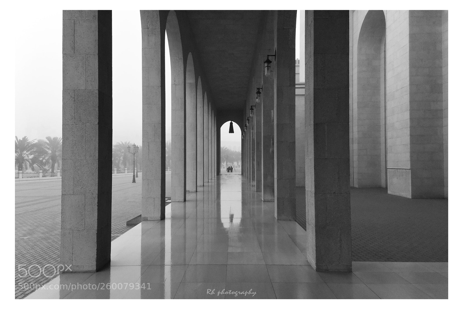 Nikon D810 sample photo. Walk way photography
