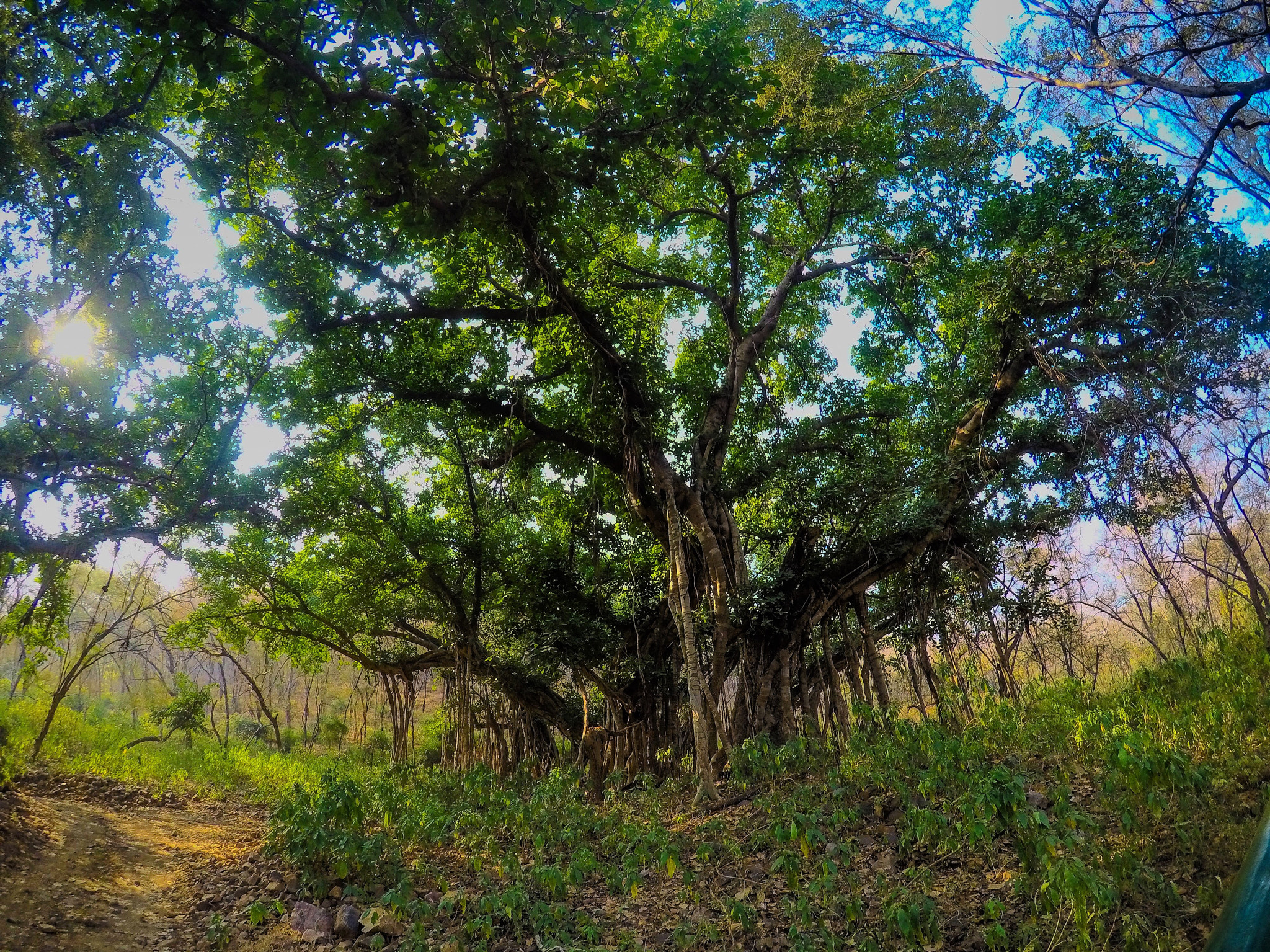 GoPro Hero5 Black sample photo. 500 years and not feeling them photography