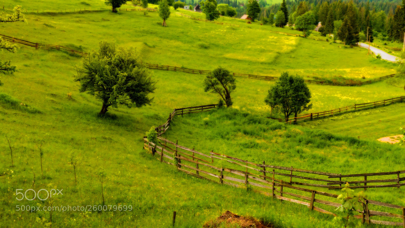 Canon EOS 70D sample photo. Countryside photography