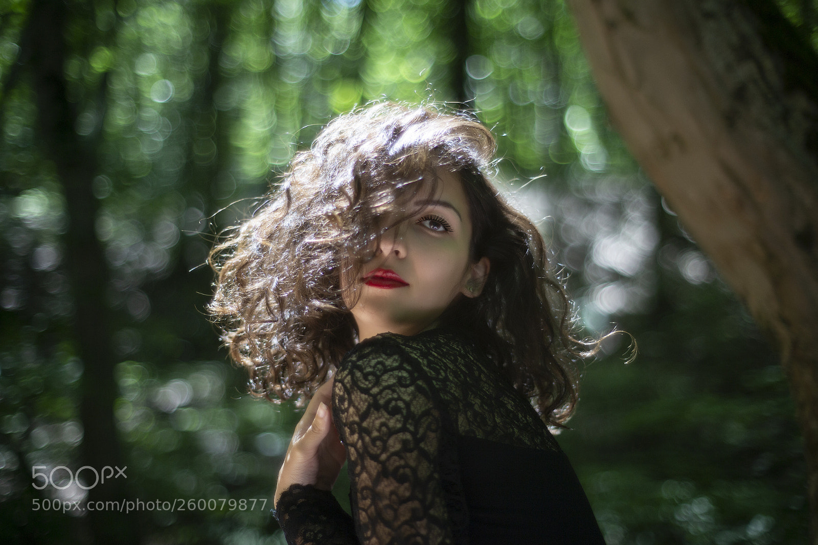 Canon EOS 6D sample photo. Forest secrets photography