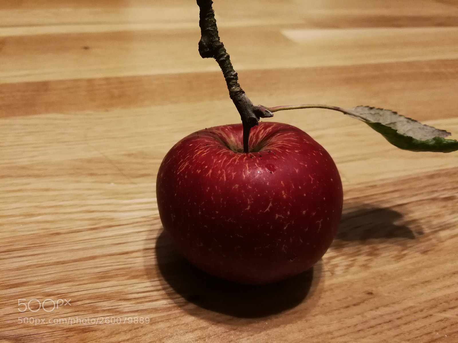 HUAWEI P10 sample photo. Cof photography