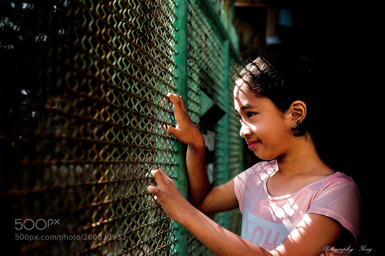 Canon EOS 6D sample photo. Toei photography
