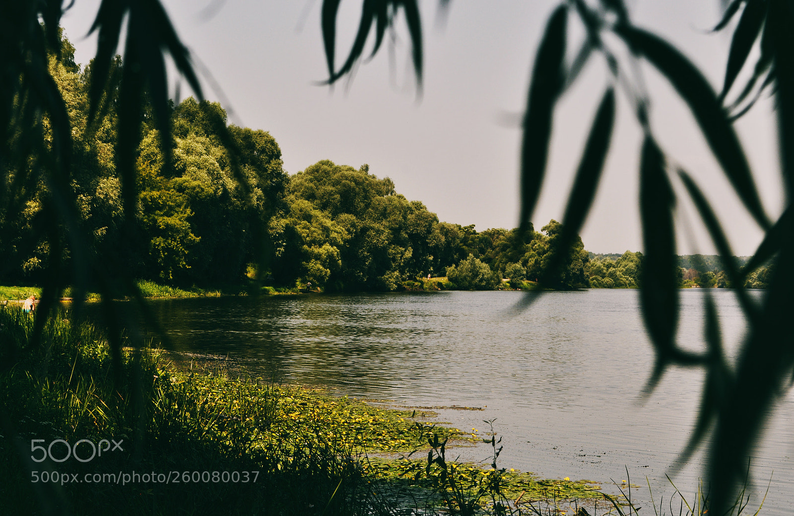 Nikon D90 sample photo. Desna river photography
