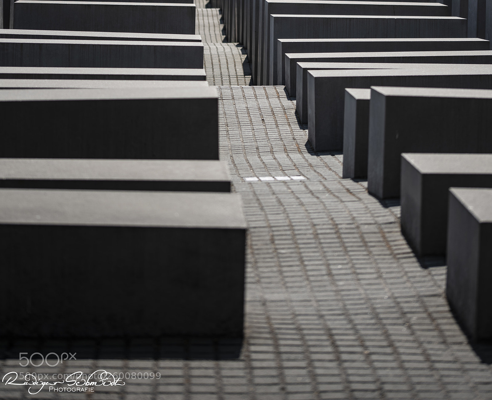 Nikon D750 sample photo. Vergessen photography