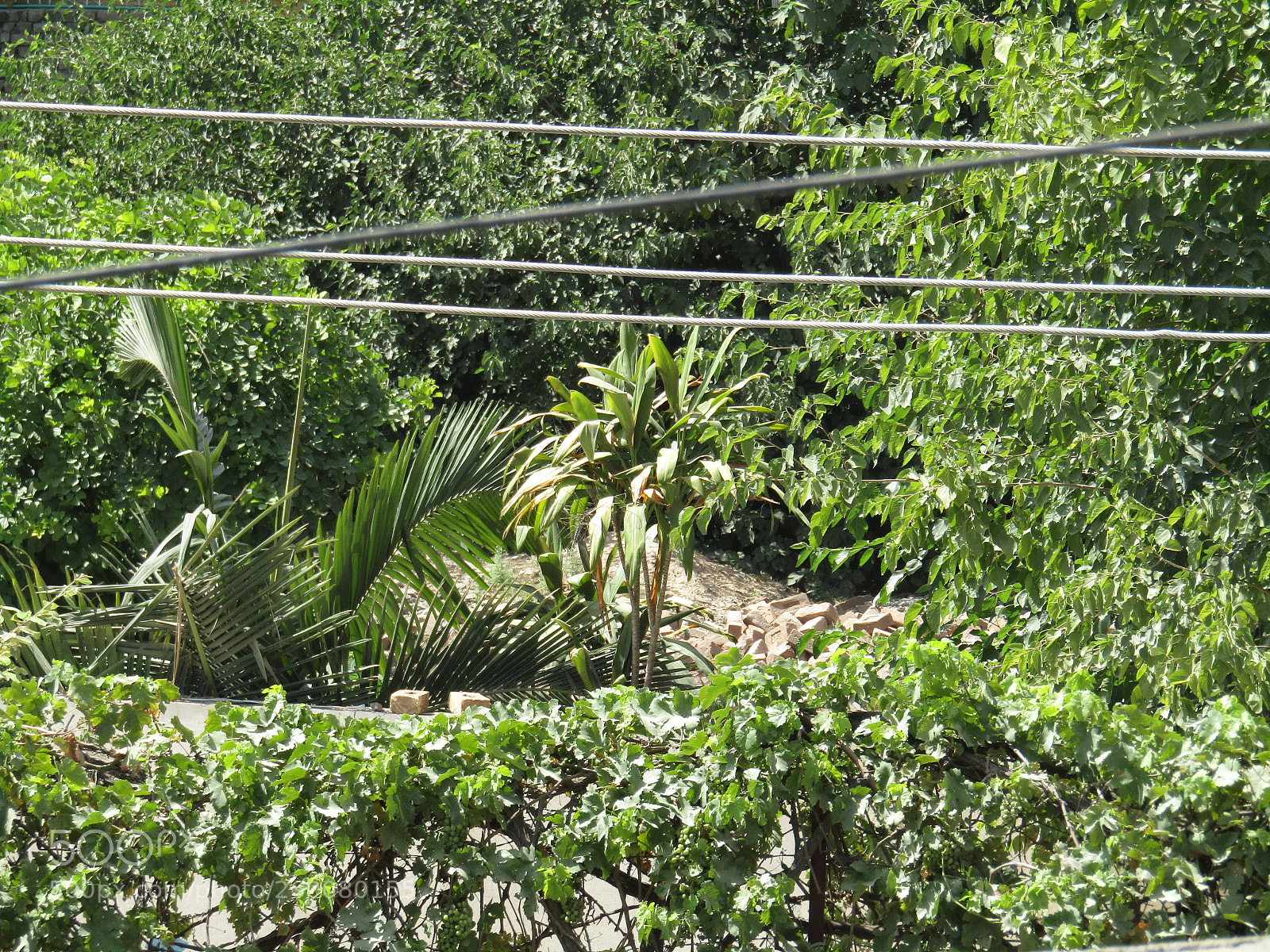Canon PowerShot SX410 IS sample photo. Img photography